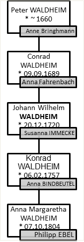 stammbaum ausschnitt